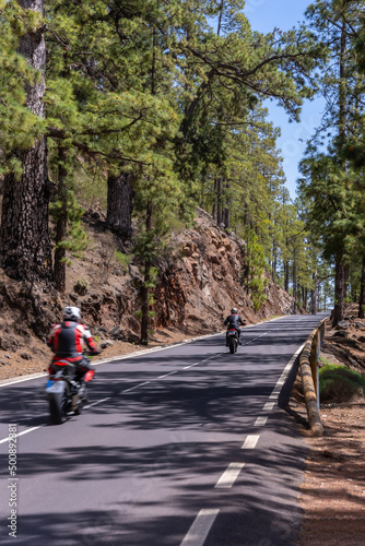 Perfect route for bikers on the forest road on the way up to the Teide Natural Park in Tenerife, Canary Islands
