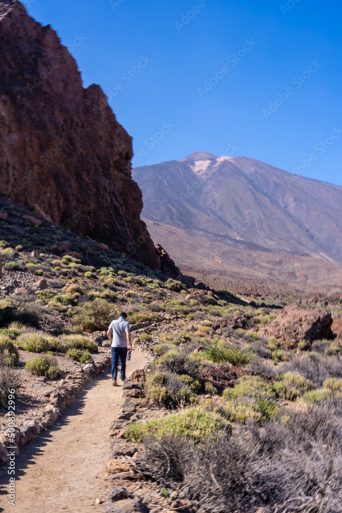 A tourist walking in the lunar landscape between Roques de Gracia and Roque Cinchado in the natural area of Teide in Tenerife, Canary Islands
