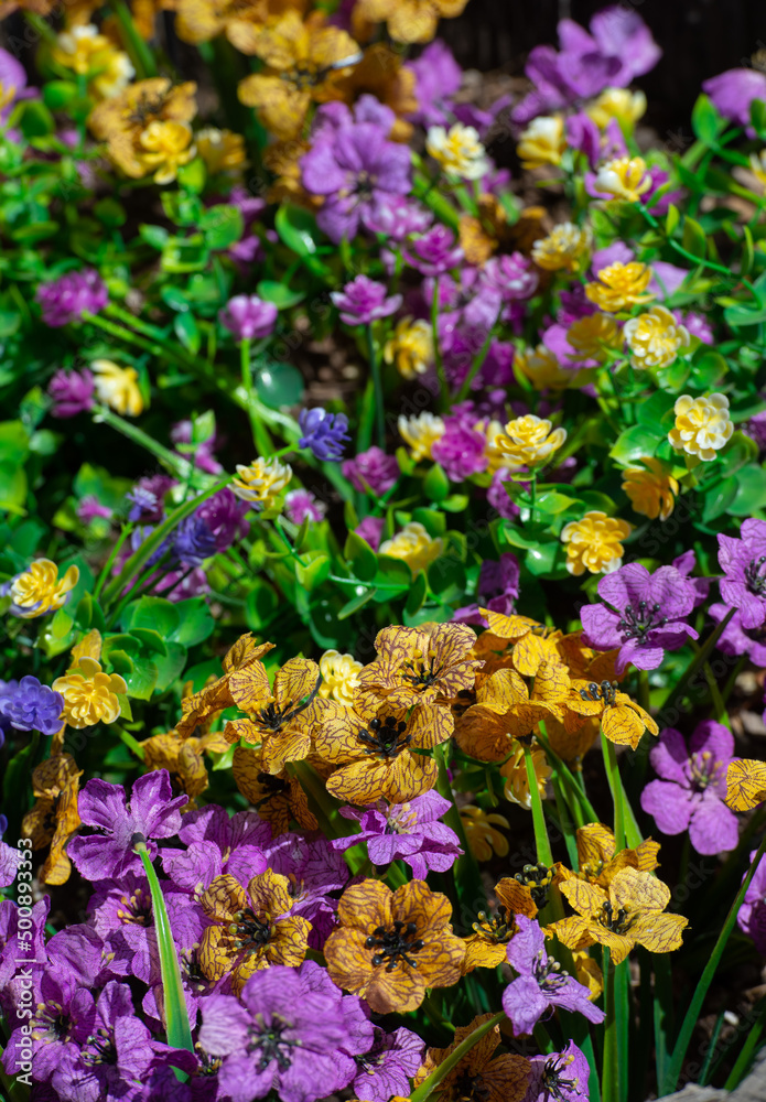 Obraz premium artificial pansies in potted garden as spring decoration made from material yellow and purple flowers with green leaves as outdoor decoration vertical format springtime backdrop background wallpaper 