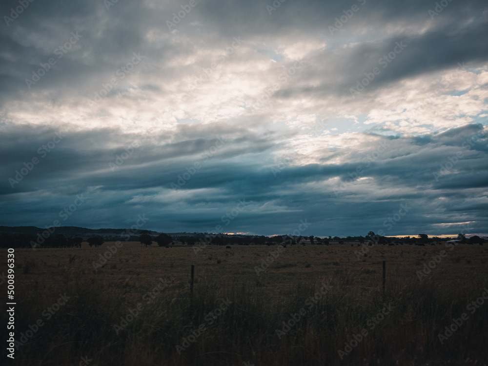 Fototapeta premium Open fields