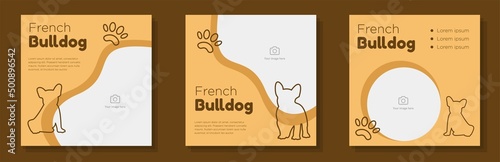Photographie French bulldog social media post, banner set, baby pug pet dog advertisement con