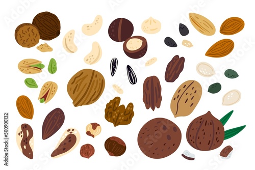 Cartoon nuts. Funny superfood. Different types of dry fruits. Walnut or hazelnut. Healthy snacks. Isolated almond and pistachio. Pumpkin or sunflower seeds. Vector natural food products set