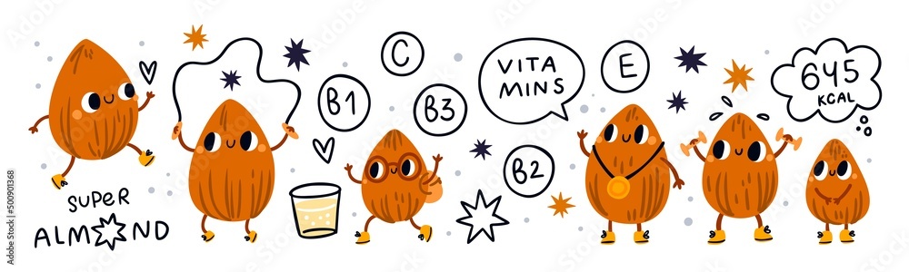 Fototapeta premium Cute almond. Funny nut character. Healthy nutrition. Athletic lifestyle. Sport and vitamins. Natural superfood snack. Nutrients and calories. Vector cartoon fitness mascots actions set