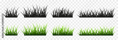 Vector young grass png. Lawn, grass on an isolated transparent background. Grass silhouette. Background with grass.