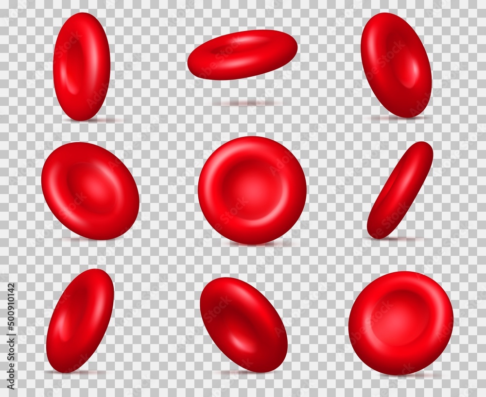 Realistic red blood cells. 3D erythrocyte molecules. Hemoglobin microscopic particles. Different view angles. Coagulation and oxygen transportation. Vector circulatory corpuscles set Realistic red blood cells. 3D erythrocyte molecules. Hemoglobin microscopic particles. Different view angles. Coagulation and oxygen transportation. Vector circulatory corpuscles set