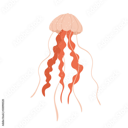 Pink jellyfish with trailing tentacles. Swimming marine animal. Sea or ocean transparent creatures aesthetic. Vector illustration in cartoon style. Isolated white background.