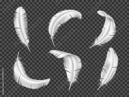 Realistic white feathers. 3D birds plumage elements. Isolated fluffy and smooth objects. Angel wings. Differently goose or swan curved quills. Flying animal plumalet. Vector feathering set