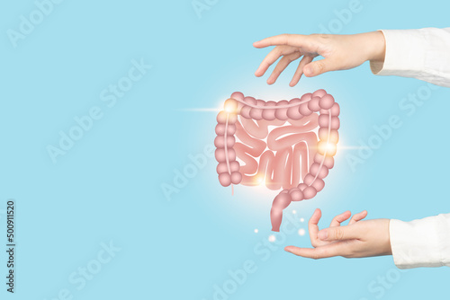 Healthy intestine anatomy on doctor hands. Concept of healthy bowel digestion, colon cancer screening, intestinal disease treatment or colorectal cancer awareness.