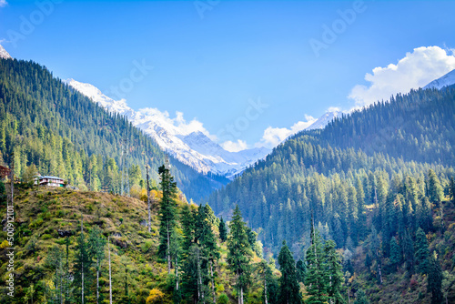 Majestic himalaya covered with trees and snow