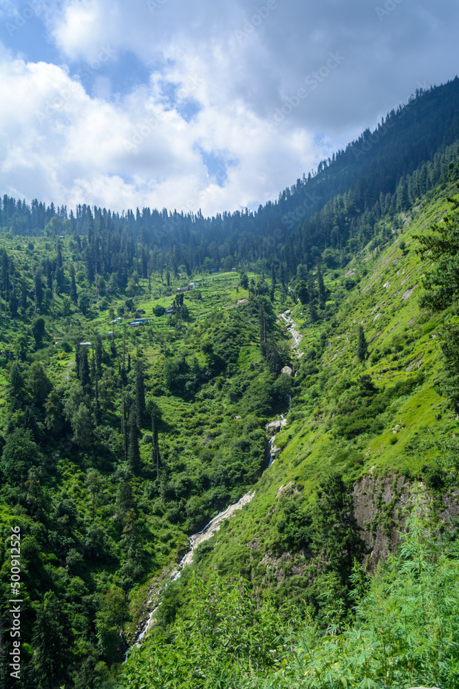 Fototapeta premium Green Landscape of Manali, HImachal Pradesh, India 
