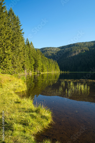 Beautiful Small Arber lake in the Bavarian Forest, Germany.