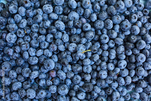 Flat lay of fresh organic juicy blueberriesl on blue background