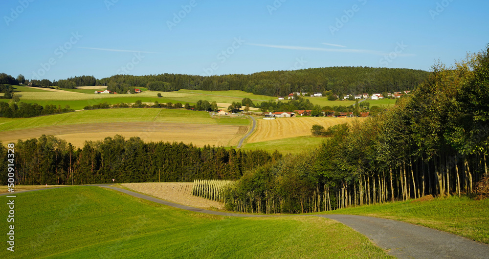 Some idyllic farms and houses in Bavaria, surrounded by cornfields and forest.