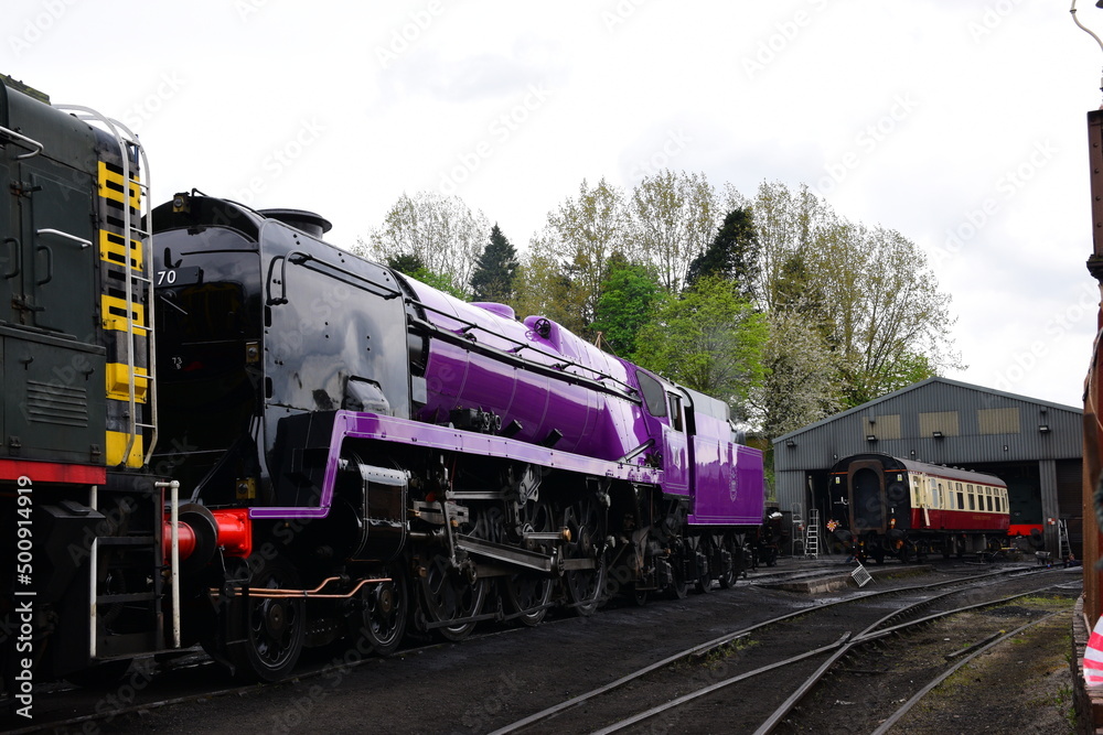 Fototapeta premium the taw valley re painted purple to celebrate the queens platinum jubilee 