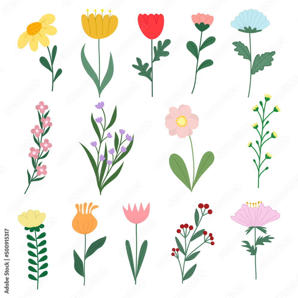 Set of different flowers. Set of different flowers.