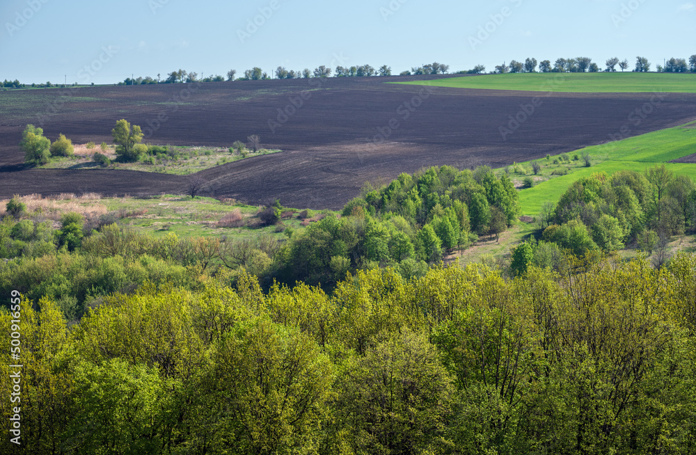 Spring rural landscape with fields, farmlands, village outskirts, flowering trees, hilly meadows. Chernivtsi region, Ukraine.