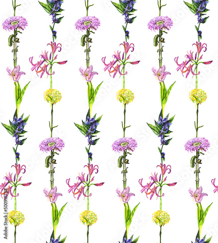 Seamless pattern watercolor flowers herbarium vertical composition on a white background