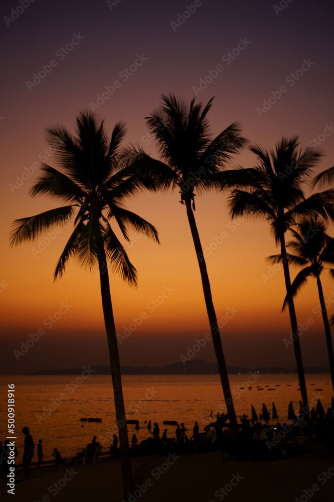 Silhouette of coconut tree shadow and pattaya beach view destination of thailand