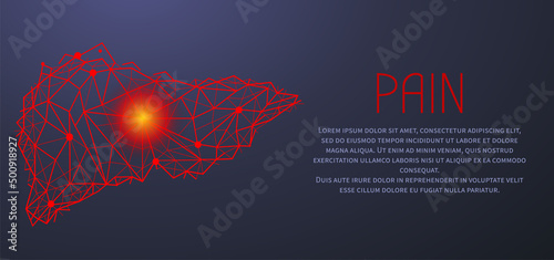 Polygonal human liver made of red lines and dots. Medical research of internal organs, innovative approach concept. Organ of human digestive system. Modern depiction of external secretion gland, liver