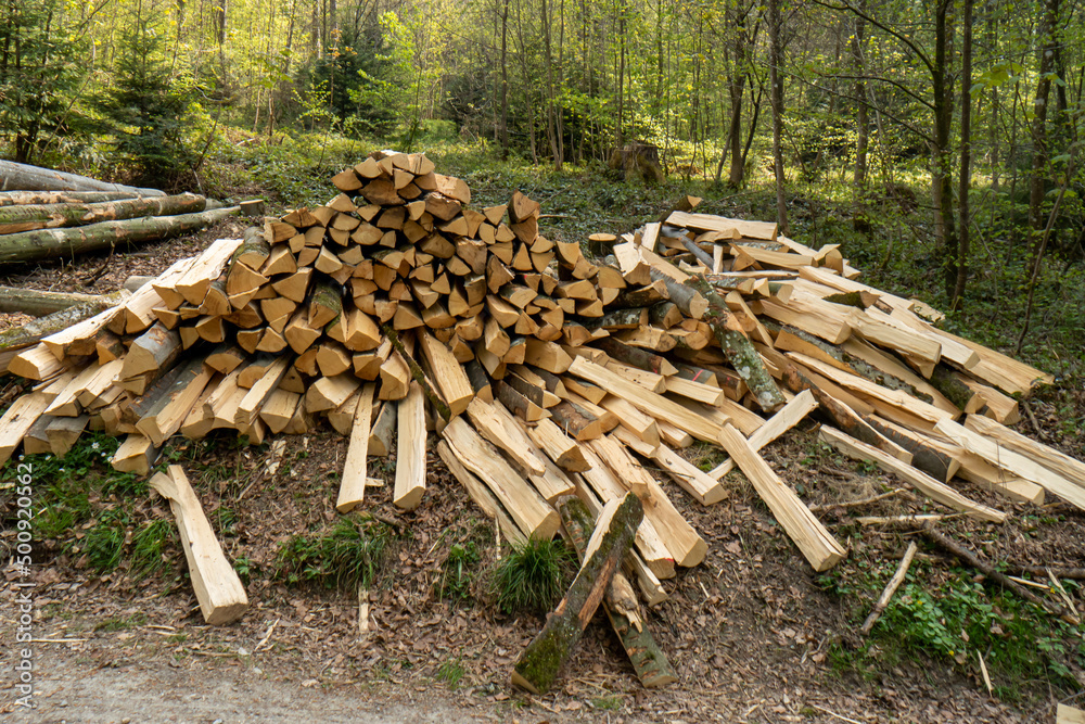 Pile of stacked firewood in a forest. Forestry works, no people Pile of stacked firewood in a forest. Forestry works, no people