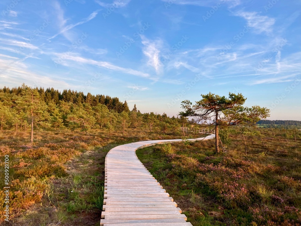 Schwarzes Moor in der Rhön Schwarzes Moor in der Rhön