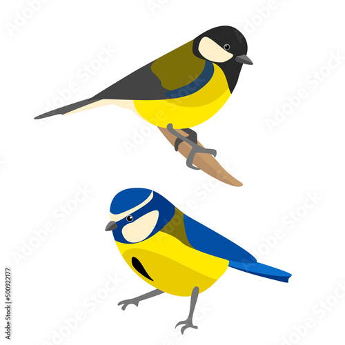 urban birds illustration vector