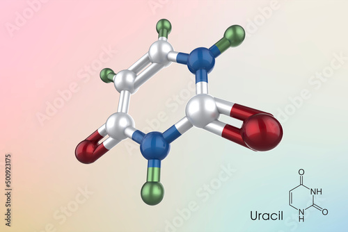 Nucleobase uracil molecular structure. 3D illustration of Uracile Molecular Structure. Chemical Structural Formula And Model Of Uracile photo
