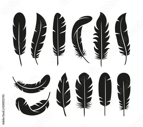 Black feathers logo. Fluffy feather, bird plumage silhouettes. Isolated flat smooth cut stencil, soft wings elements tidy vintage vector symbols