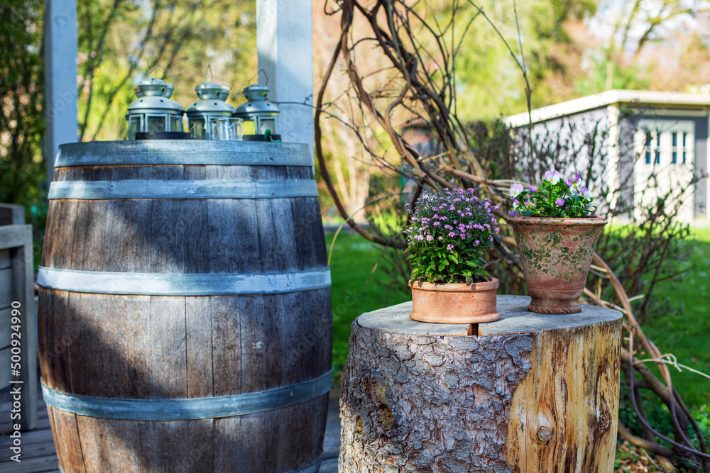 Obraz premium wooden barrel and tree stump with flower pots in green garden
