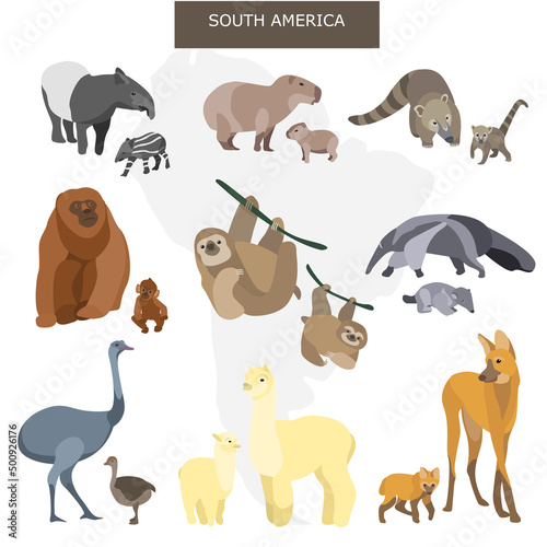 South American animals