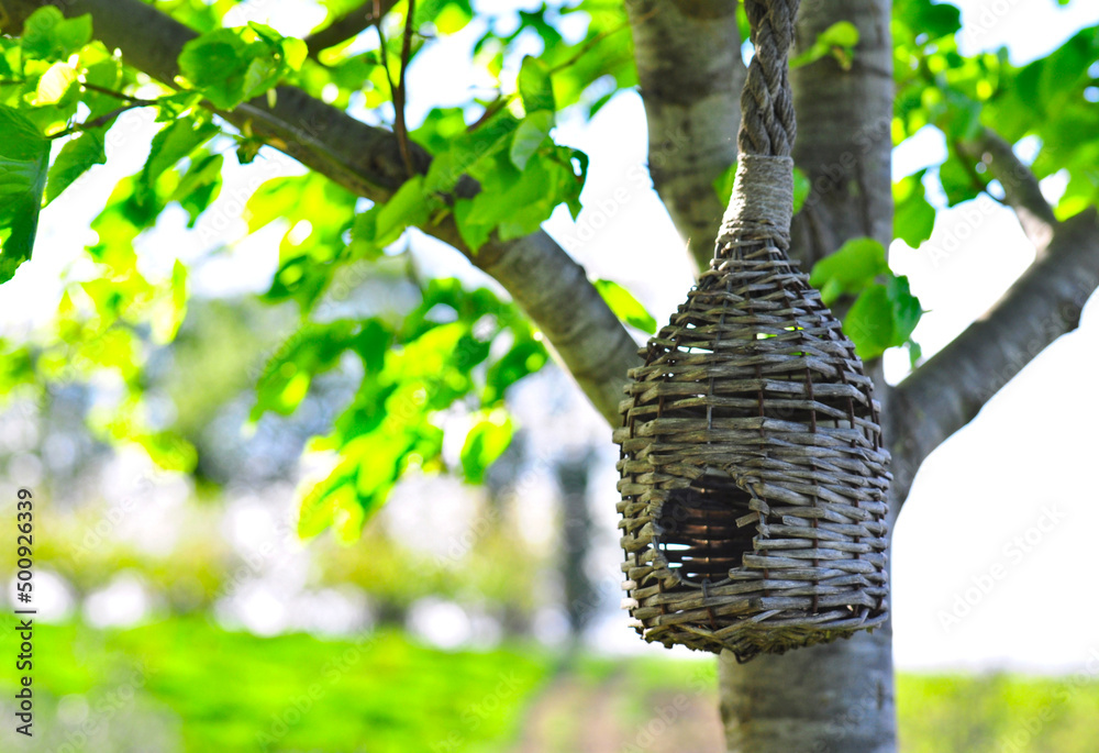 Fototapeta premium Nido per uccelli da giardino durante la primavera. casetta per uccellini 