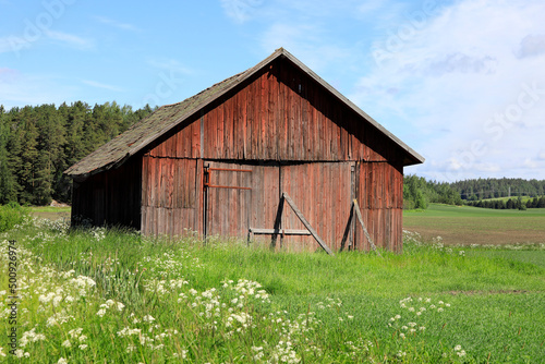 Fototapet Typical Finnish Red Wooden Barn at the Edge of Field on a Sunny Day of Summer