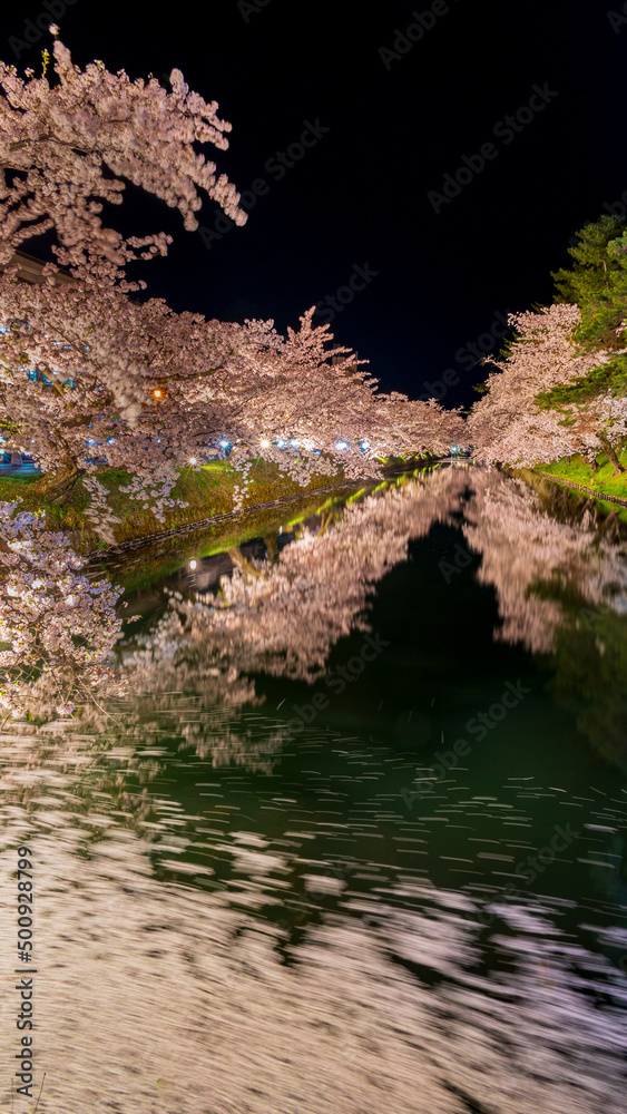 弘前城 夜桜 絶景 花筏 弘前城 夜桜 絶景 花筏