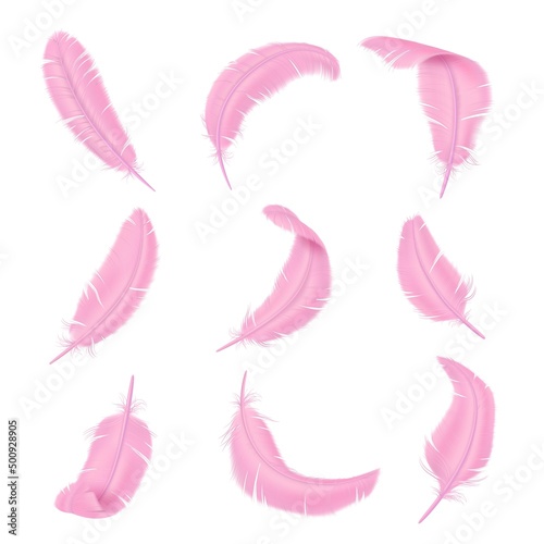 Pink feathers. Delicate color realistic bird feathering. Smooth and fluffy plume. Glamorous boa weightless elements. Flamingo wings plumage. Vector differently curved isolated quills set