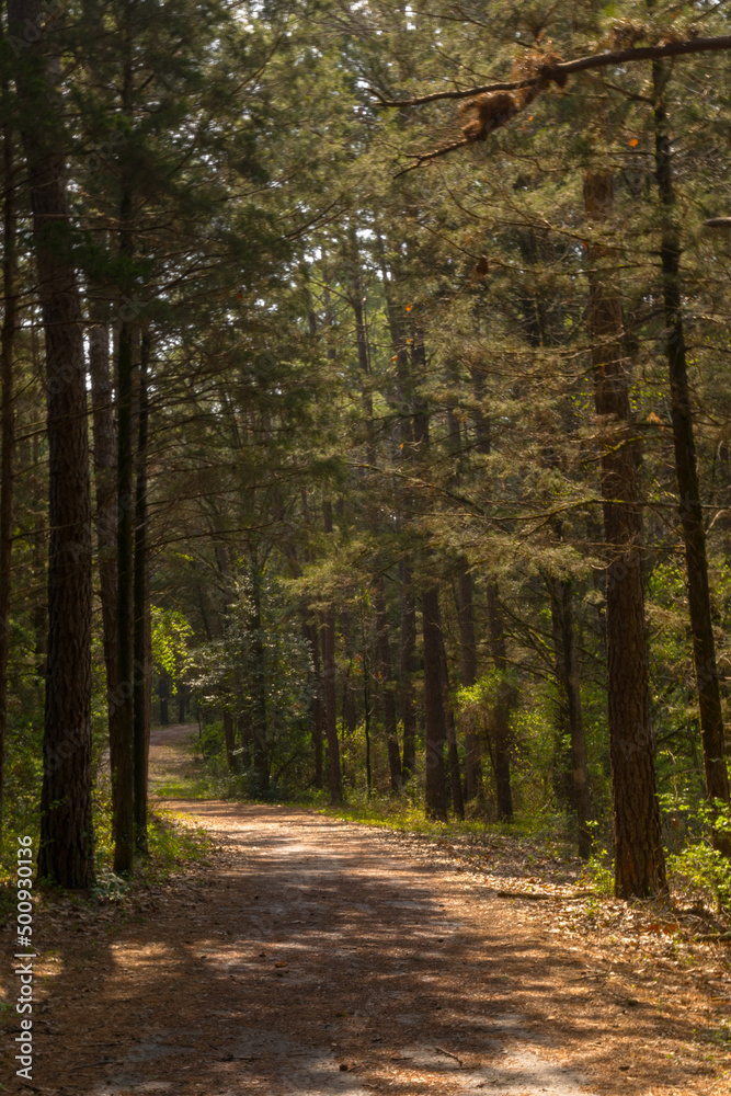 Fototapeta premium Biking near the train tracks