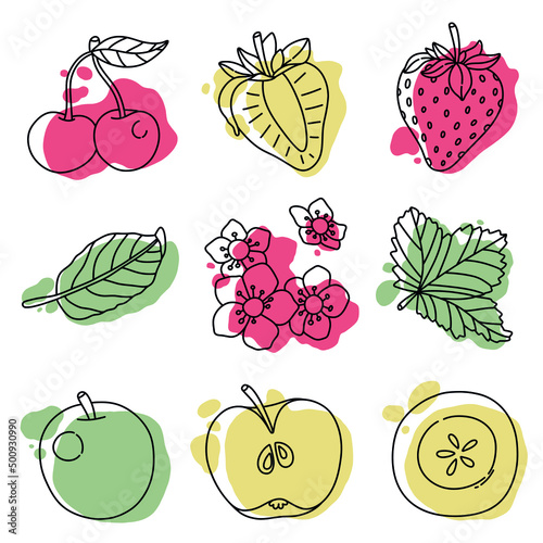 Fruit set. Contour and color spot strawberry, apple, sweet cherry, leaves and flowers.