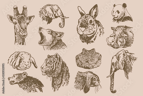 Graphical vintage collection of African animals , sepia background,vector zoo animals
