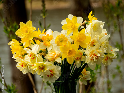 daffodil bouquet