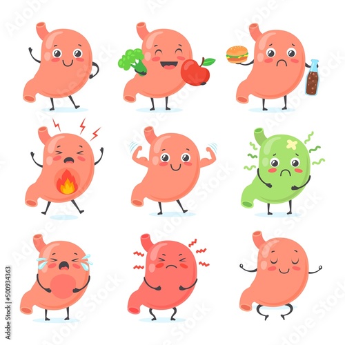 Stomach mascot. Stomaches medical character cute face healthy abdomen, crying gastric pain ulcera gut happy strong belly unhealthy food nutrition, neat medicine vector illustration