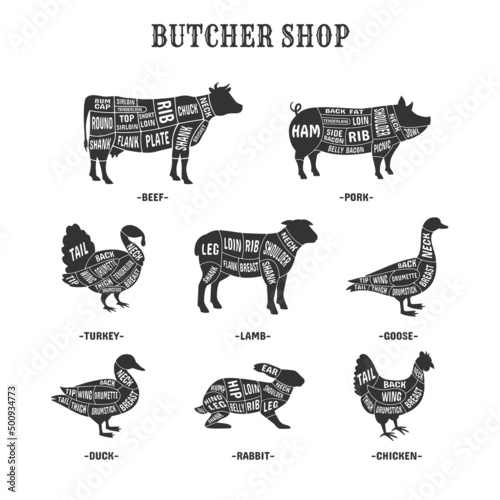 Diagrams for butcher shop. Cut diagram farm animal for butchers, livestock poultry turkey lamb, cooking rabbit or chiken, cutting beef butchery scheme