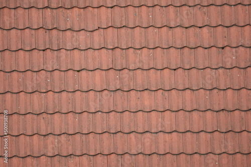 old Roof in Romania (roof, tile)