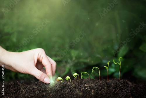 Wzrost i efektywność pracy na przykładzie rosnących sadzonek roślinnych, rośliny i flara słońca, magiczne palce sadzą rośliny