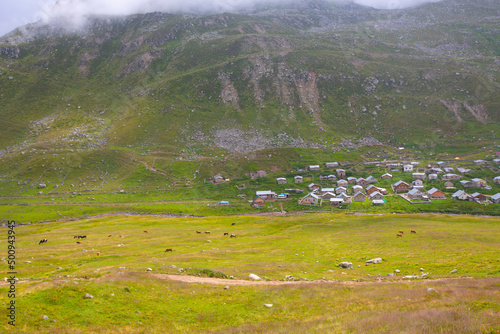 Trovit Plateau camli hemsin Rize Turkey photo