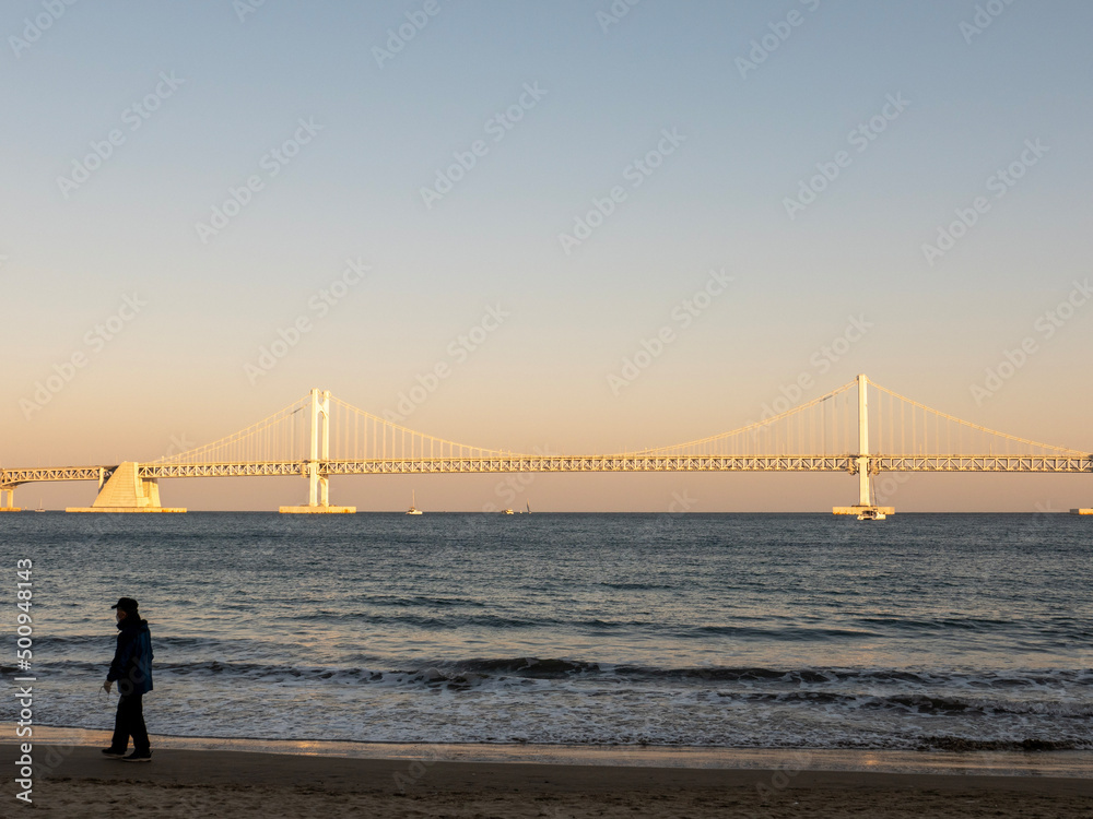 Obraz premium golden gate bridge