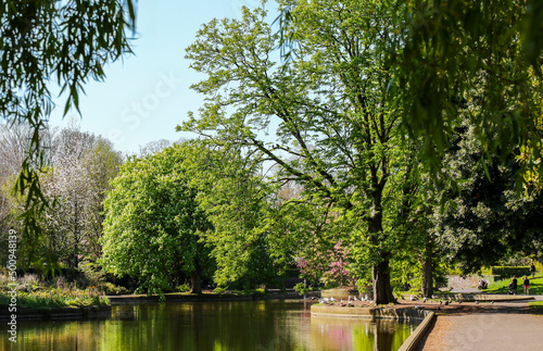 Green trees reflected on water of pond in park on sunny Spring day. White birds and unrecognizable people at edge. Blue sky. Herbert Park, Dublin, Ireland