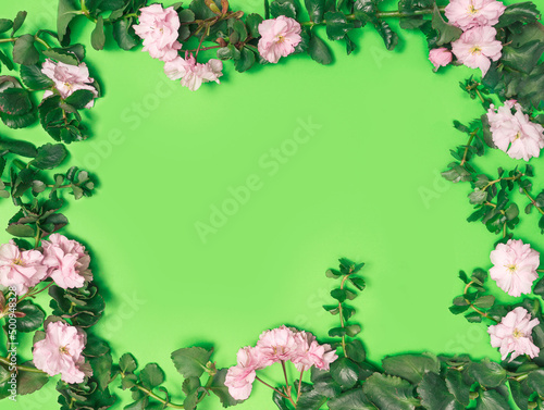 Spring minimal concept. Organic frame made of a lot of cherry blossom flowers with green leaves against a green background. Creative copy space