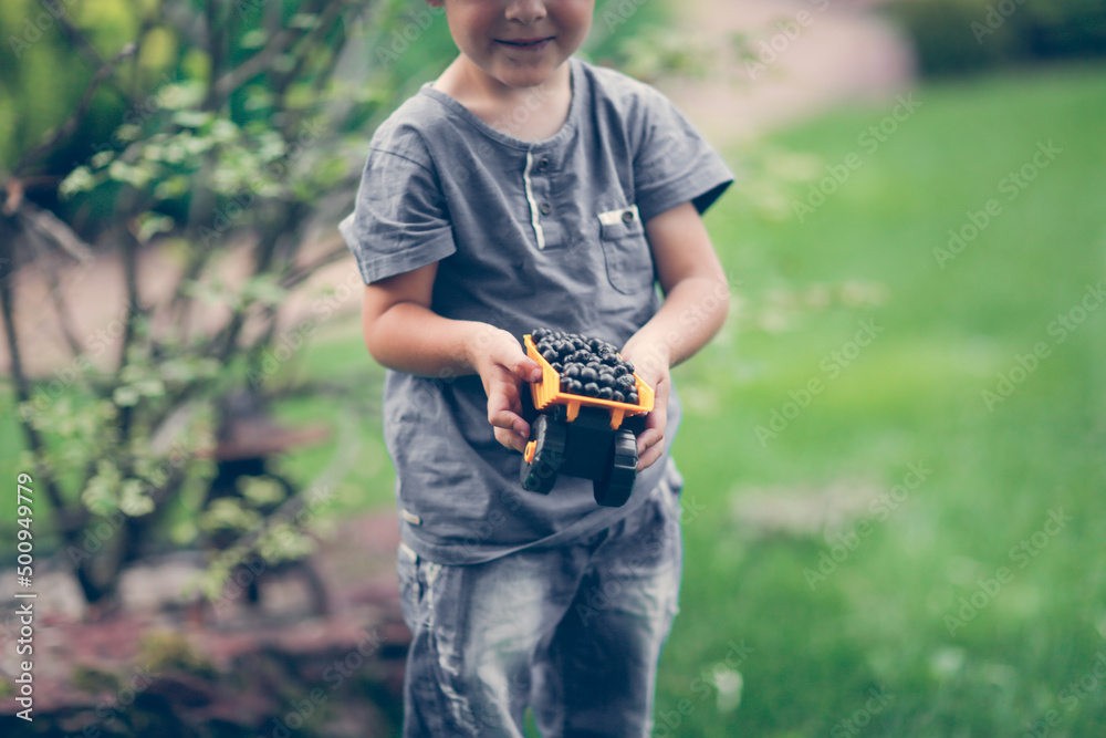 Obraz premium Cute boy child playing with a black berry truck in the park, summer, children's games in the backyard and in the garden, berry harvest