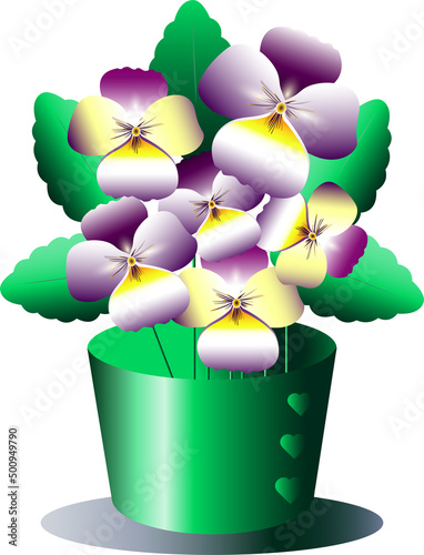 violet flower pot, leaves greenery purple yellow red background decoration floristry