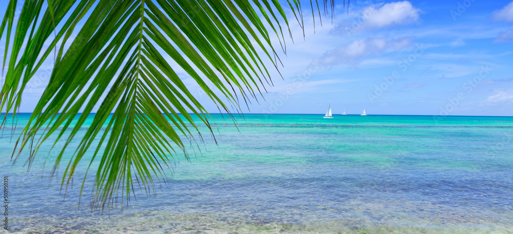Travel background with Caribbean sea and palm leaves .