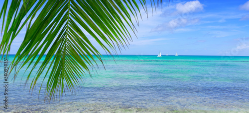 Travel background with Caribbean sea and palm leaves . © Swetlana Wall